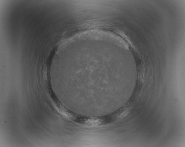 X0000082940213200702152222