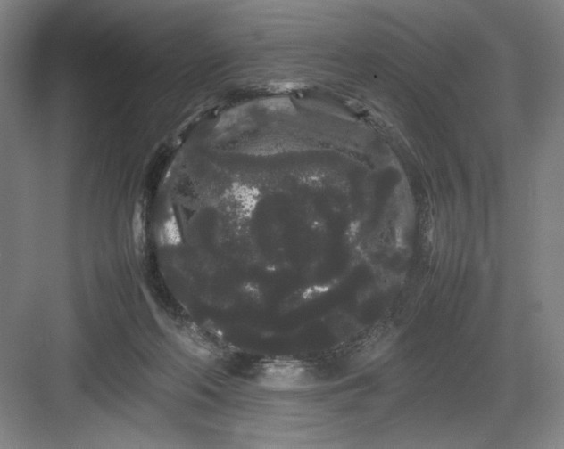 X0000082940214200702152222