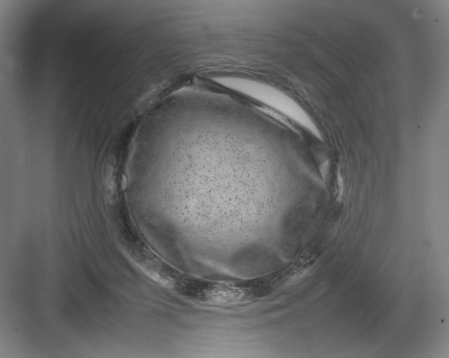 X0000082940215200702152222