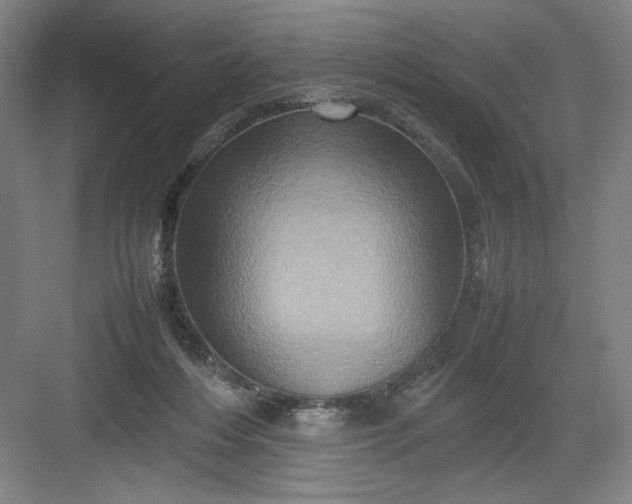 X0000082940216200702152222