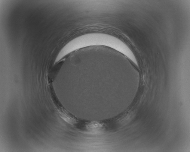 X0000082940217200702152222