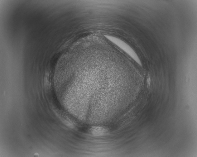 X0000082940218200702152222