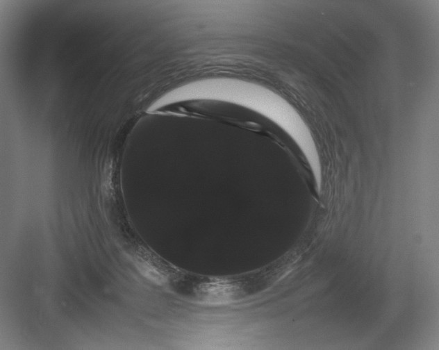 X0000082940219200702152222