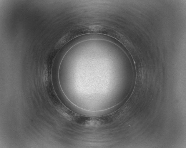 X0000082940220200702152222