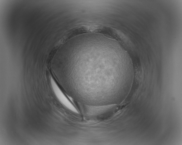 X0000082940221200702152222