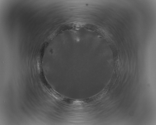 X0000082940222200702152222