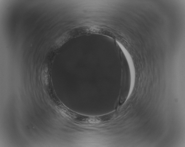 X0000082940223200702152222