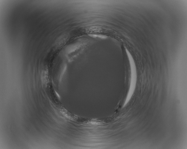 X0000082940224200702152222