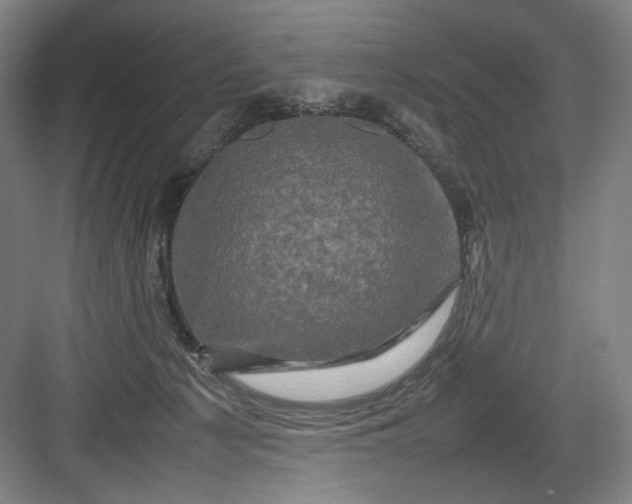 X0000082940225200702152222