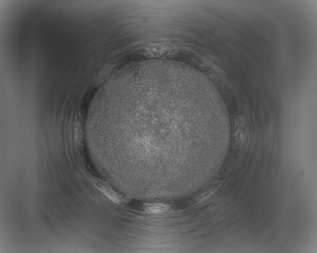 X0000082940226200702152222