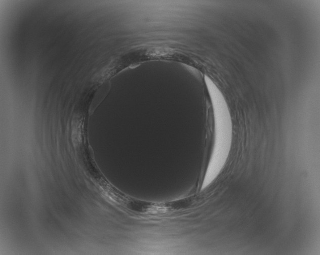 X0000082940227200702152222