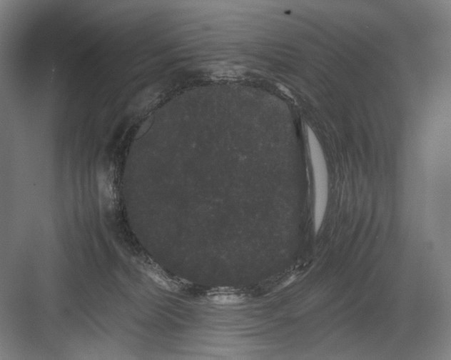 X0000082940228200702152222