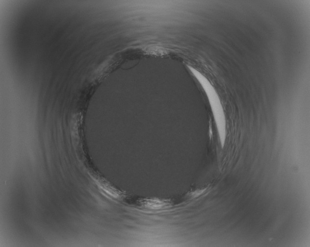 X0000082940229200702152222