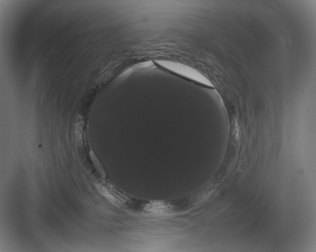 X0000082940231200702152222