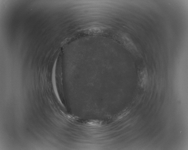 X0000082940232200702152222