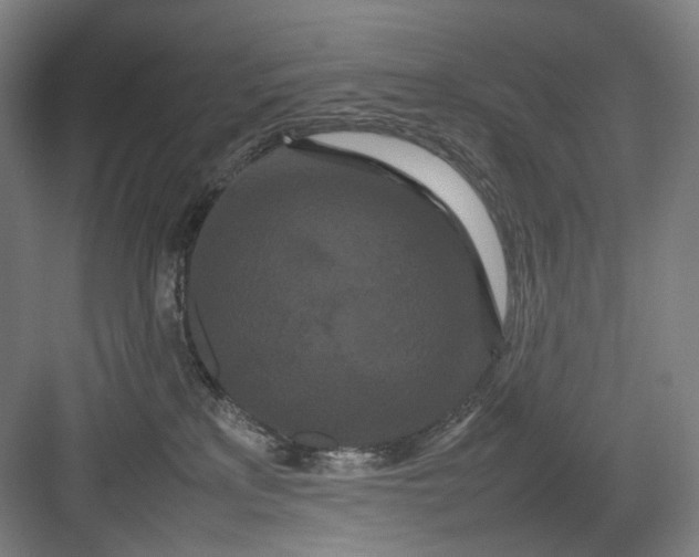 X0000082940233200702152222