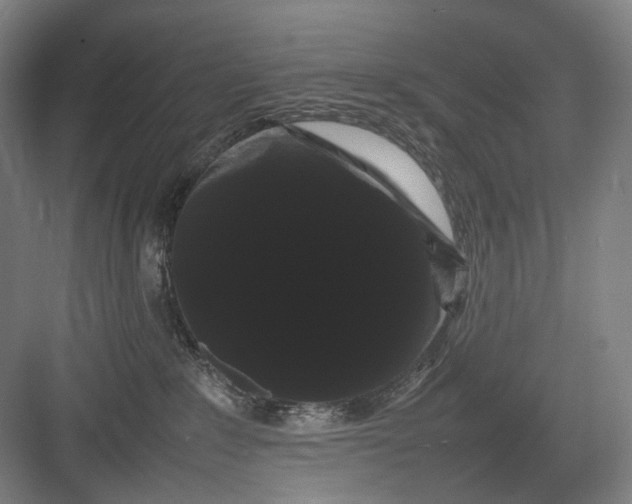 X0000082940235200702152222