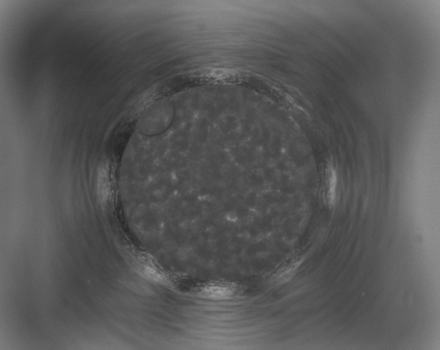 X0000082940236200702152222