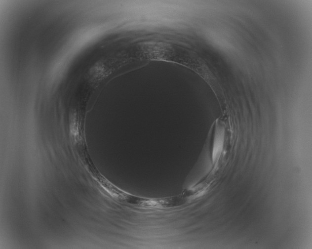 X0000082940239200702152222