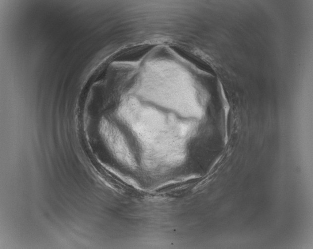 X0000082940242200702152221