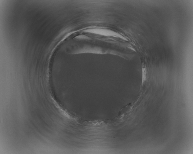 X0000082940243200702152221