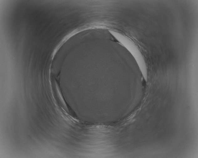 X0000082940244200702152221