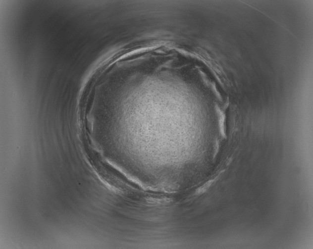 X0000082940245200702152221