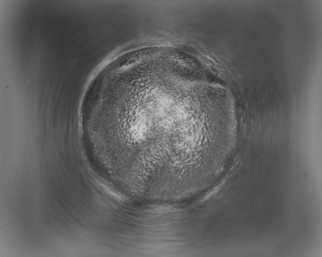 X0000082940246200702152221