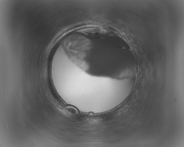 X0000082940247200702152221