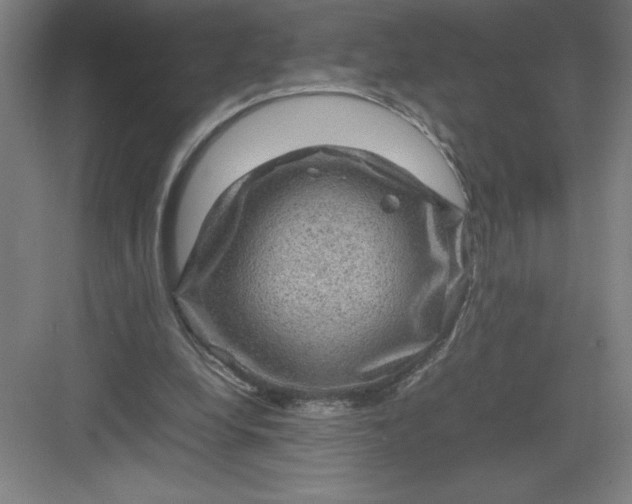 X0000082940248200702152221