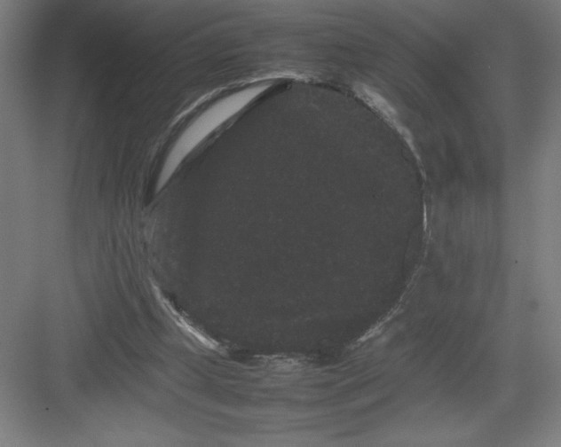 X0000082940249200702152221