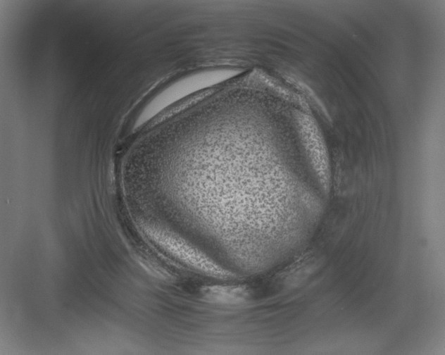 X0000082940251200702152221