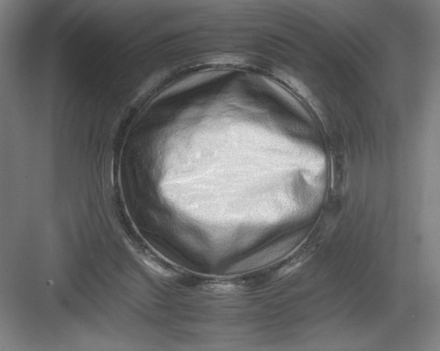 X0000082940253200702152221