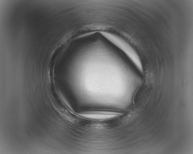 X0000082940254200702152221