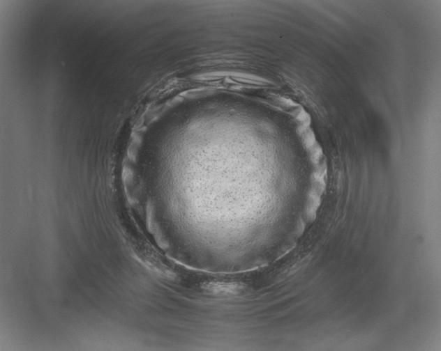 X0000082940255200702152221