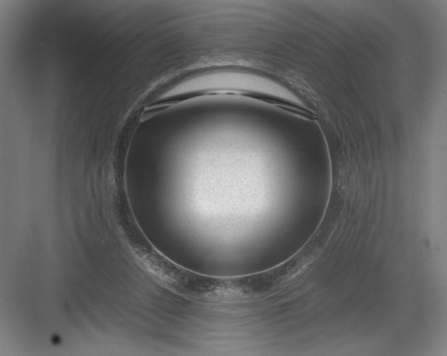 X0000082940256200702152221