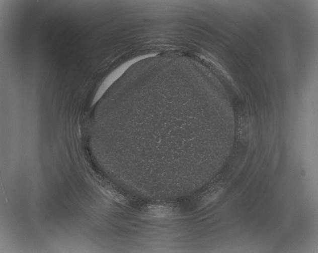 X0000082940259200702152221