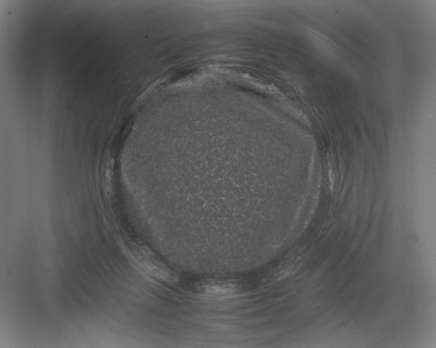 X0000082940263200702152222