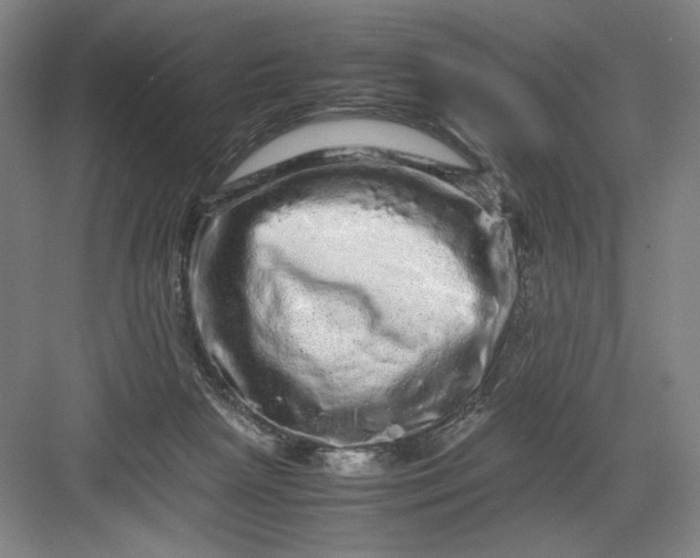 X0000082940265200702152222