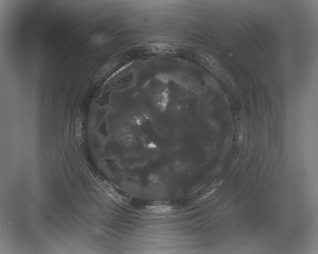 X0000082940266200702152222