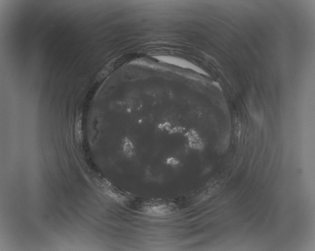 X0000082940267200702152222