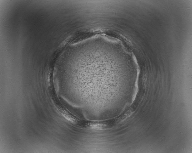 X0000082940268200702152222