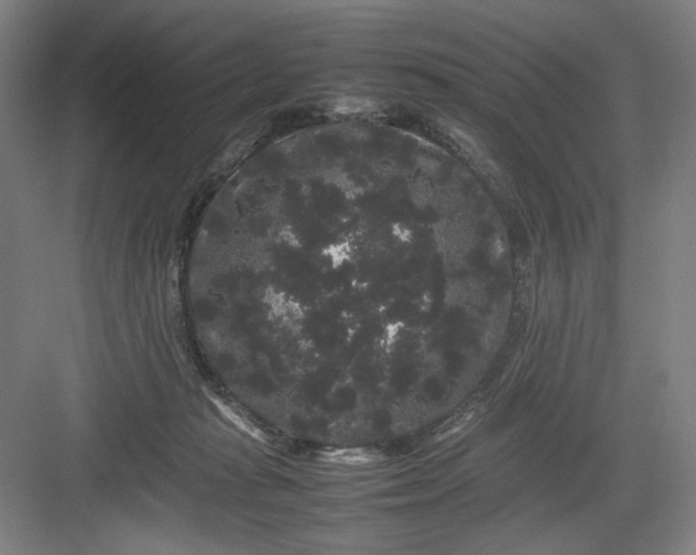 X0000082940269200702152222