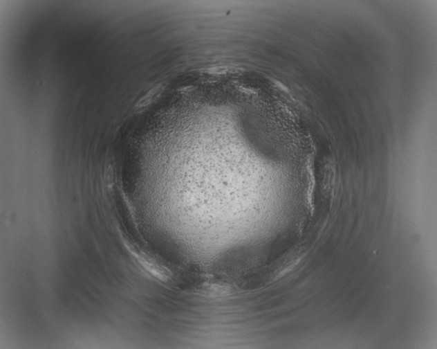 X0000082940272200702152222