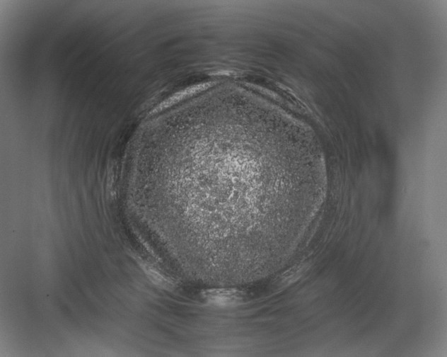 X0000082940273200702152222