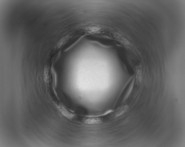 X0000082940274200702152222