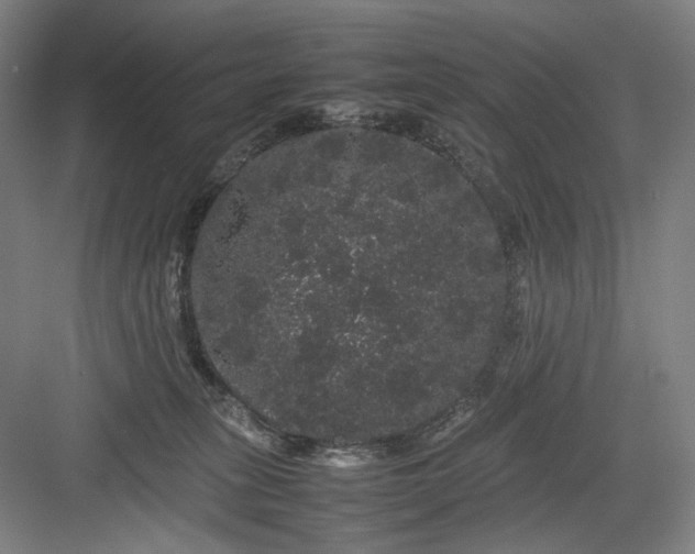 X0000082940275200702152222