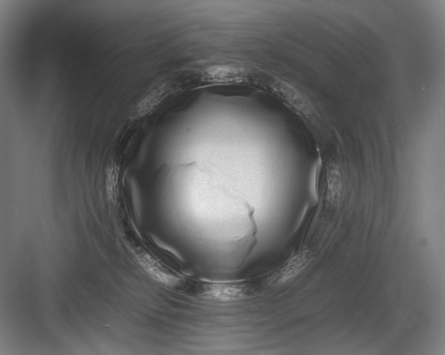 X0000082940278200702152222