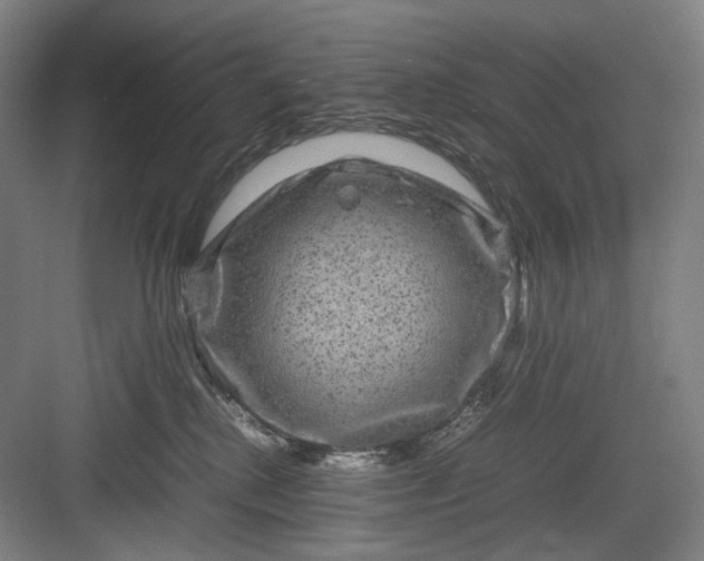 X0000082940280200702152222