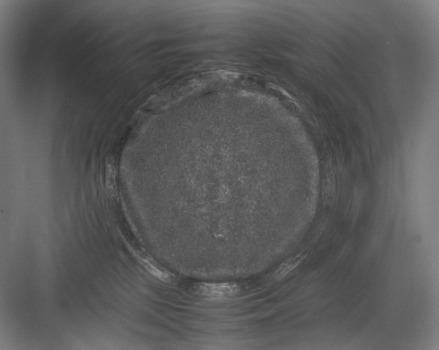 X0000082940281200702152222